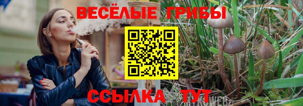 Псилоцибиновые грибы MAGIC MUSHROOMS Чехов