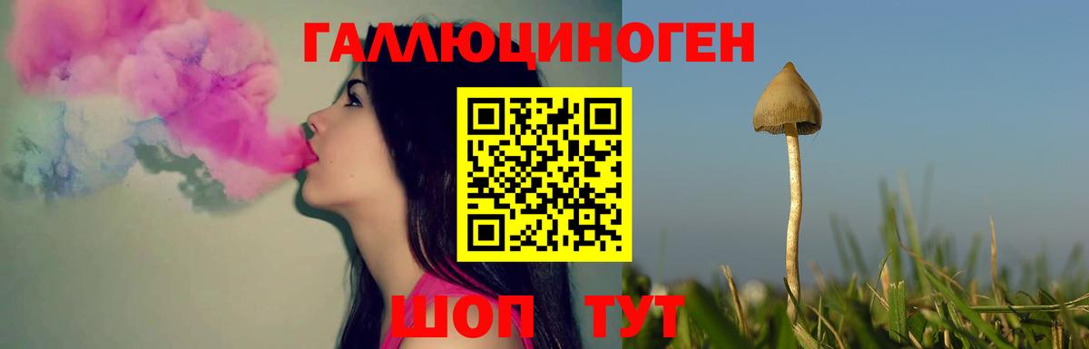 Галлюциногенные грибы мицелий  Псилоцибиновые грибы Magic Shrooms  Вход с VPN  Чехов 